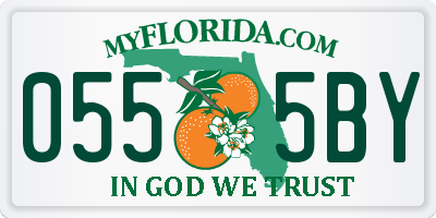 FL license plate 0555BY