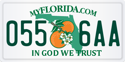 FL license plate 0556AA