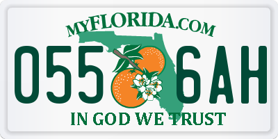 FL license plate 0556AH