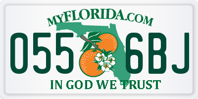 FL license plate 0556BJ