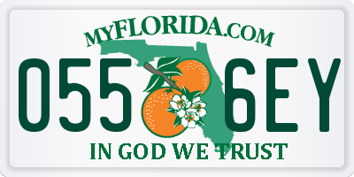 FL license plate 0556EY