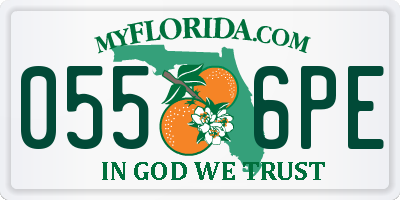 FL license plate 0556PE