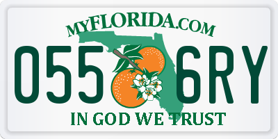 FL license plate 0556RY