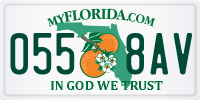 FL license plate 0558AV