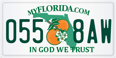 FL license plate 0558AW