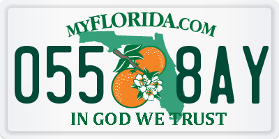 FL license plate 0558AY