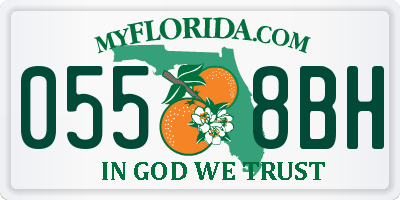 FL license plate 0558BH