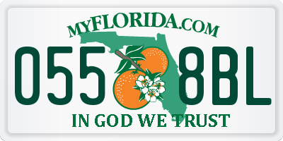 FL license plate 0558BL