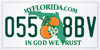 FL license plate 0558BV