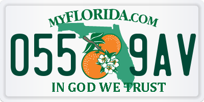 FL license plate 0559AV