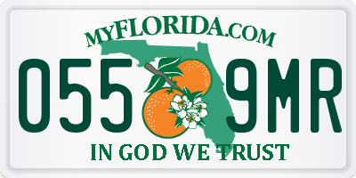 FL license plate 0559MR
