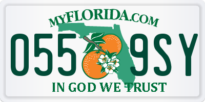 FL license plate 0559SY