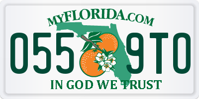 FL license plate 0559TO