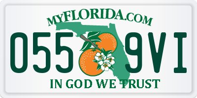 FL license plate 0559VI