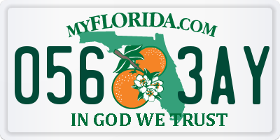 FL license plate 0563AY