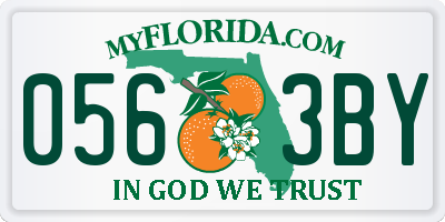 FL license plate 0563BY
