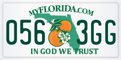 FL license plate 0563GG