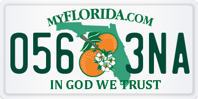 FL license plate 0563NA