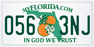 FL license plate 0563NJ