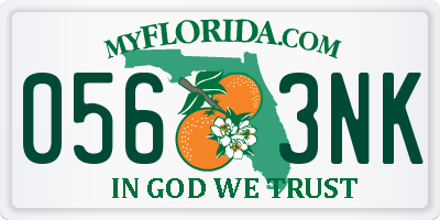 FL license plate 0563NK