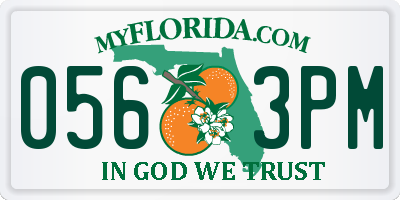 FL license plate 0563PM