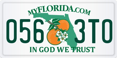 FL license plate 0563TO