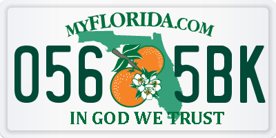 FL license plate 0565BK