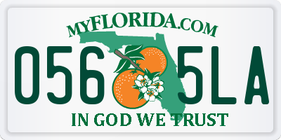 FL license plate 0565LA
