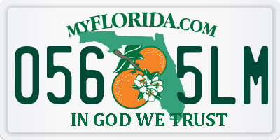 FL license plate 0565LM