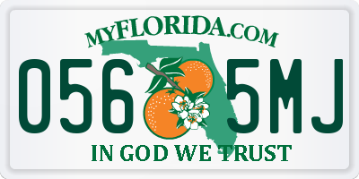 FL license plate 0565MJ