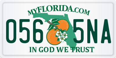 FL license plate 0565NA