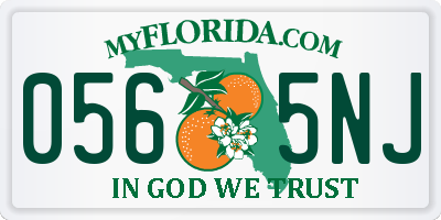 FL license plate 0565NJ