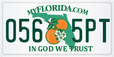FL license plate 0565PT