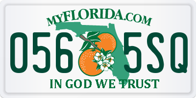 FL license plate 0565SQ