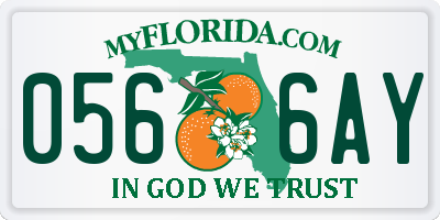 FL license plate 0566AY