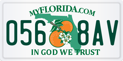 FL license plate 0568AV