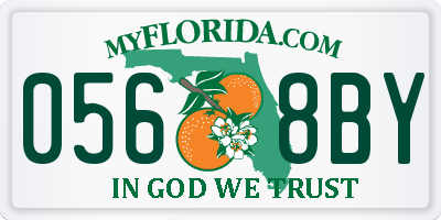 FL license plate 0568BY