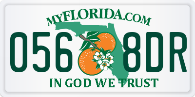 FL license plate 0568DR