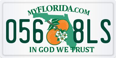 FL license plate 0568LS