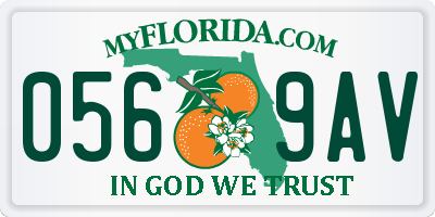 FL license plate 0569AV