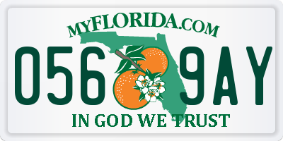 FL license plate 0569AY