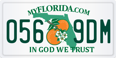 FL license plate 0569DM