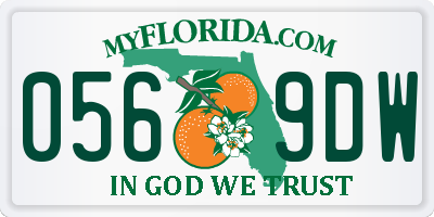 FL license plate 0569DW
