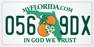 FL license plate 0569DX
