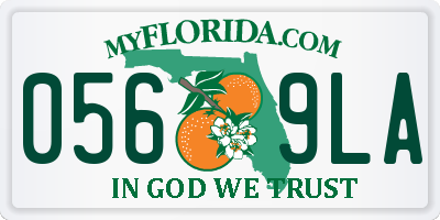FL license plate 0569LA