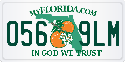 FL license plate 0569LM