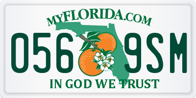 FL license plate 0569SM