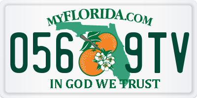 FL license plate 0569TV