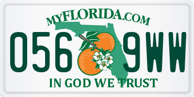 FL license plate 0569WW