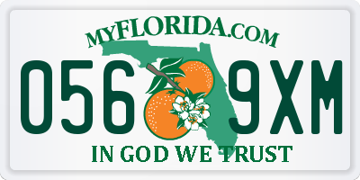 FL license plate 0569XM